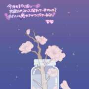 ヒメ日記 2026/01/15 15:31 投稿 るな 上野デリヘル倶楽部