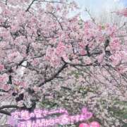 ヒメ日記 2026/03/13 12:20 投稿 るな 上野デリヘル倶楽部