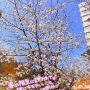 ヒメ日記 2026/04/05 12:19 投稿 るな 上野デリヘル倶楽部