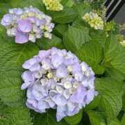 ヒメ日記 2025/06/04 19:55 投稿 ゆずき スピードエコ梅田店