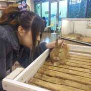 ヒメ日記 2025/12/04 09:14 投稿 いつき タレントCLUB