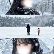 ヒメ日記 2025/11/21 22:16 投稿 鯉夏ゆうひ Mrs.Dandy Maihama