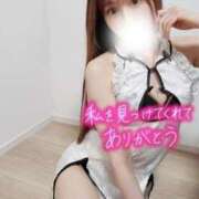 ヒメ日記 2025/11/13 18:32 投稿 白沢ゆり Mrs.Dandy Maihama