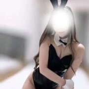 ヒメ日記 2026/08/09 08:28 投稿 白沢ゆり Mrs.Dandy Maihama