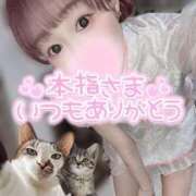 ヒメ日記 2025/04/21 05:02 投稿 舞白のん Mrs.Dandy Maihama