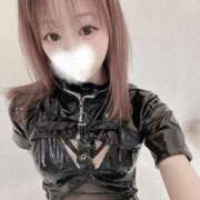 ヒメ日記 2025/08/04 23:14 投稿 舞白のん Mrs.Dandy Maihama