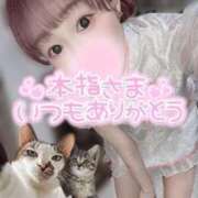 ヒメ日記 2025/10/09 20:12 投稿 舞白のん Mrs.Dandy Maihama