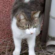 ヒメ日記 2025/04/15 06:42 投稿 しのぶ 池袋サンキュー