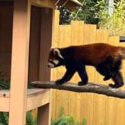 ヒメ日記 2025/04/24 21:22 投稿 しのぶ 池袋サンキュー