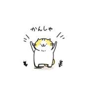 ヒメ日記 2025/11/08 20:51 投稿 しのぶ 池袋サンキュー