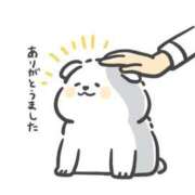 ヒメ日記 2025/11/14 20:51 投稿 しのぶ 池袋サンキュー