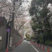 ヒメ日記 2025/03/31 20:14 投稿 佐々波エヴァ Mrs.Dandy Maihama