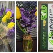 ヒメ日記 2025/04/01 18:22 投稿 佐々波エヴァ Mrs.Dandy Maihama