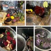 ヒメ日記 2025/06/30 07:31 投稿 佐々波エヴァ Mrs.Dandy Maihama