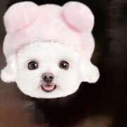 ヒメ日記 2025/07/29 12:50 投稿 佐々波エヴァ Mrs.Dandy Maihama