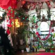 ヒメ日記 2025/12/16 16:11 投稿 佐々波エヴァ Mrs.Dandy Maihama