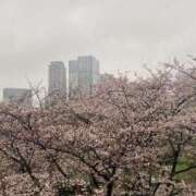 ヒメ日記 2025/04/02 01:51 投稿 白星うた Mrs.Dandy Maihama