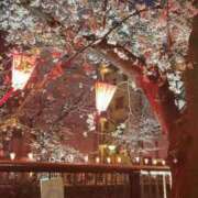 ヒメ日記 2025/03/28 23:21 投稿 高輪けい Mrs.Dandy Maihama