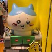 ヒメ日記 2025/10/10 21:32 投稿 高輪けい Mrs.Dandy Maihama