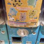 ヒメ日記 2025/10/15 23:42 投稿 高輪けい Mrs.Dandy Maihama