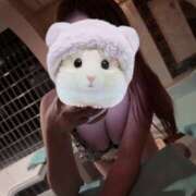 ヒメ日記 2025/03/06 23:38 投稿 和（なごみ） 男爵