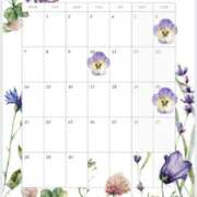 ヒメ日記 2025/03/26 17:01 投稿 和（なごみ） 男爵