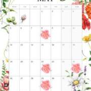 ヒメ日記 2025/04/23 12:01 投稿 和（なごみ） 男爵