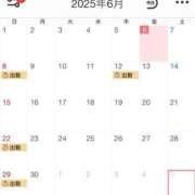 ヒメ日記 2025/06/06 14:26 投稿 和（なごみ） 男爵