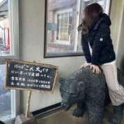 ヒメ日記 2025/11/12 03:57 投稿 葵ののか Mrs.Dandy Maihama