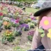 ヒメ日記 2025/11/03 19:22 投稿 西島すず Mrs.Dandy Maihama