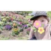 ヒメ日記 2025/11/07 15:24 投稿 西島すず Mrs.Dandy Maihama