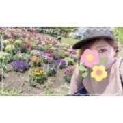 ヒメ日記 2025/11/27 15:52 投稿 西島すず Mrs.Dandy Maihama