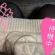 ヒメ日記 2025/02/22 14:22 投稿 なつめ ぷるるん小町 京橋店