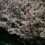 ヒメ日記 2025/03/29 07:06 投稿 なつめ ぷるるん小町 京橋店