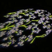 ヒメ日記 2025/04/02 14:35 投稿 なつめ ぷるるん小町 京橋店