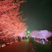 ヒメ日記 2025/04/09 23:31 投稿 なつめ ぷるるん小町 京橋店