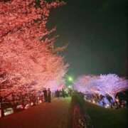 ヒメ日記 2025/04/09 23:47 投稿 なつめ ぷるるん小町 京橋店