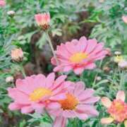 ヒメ日記 2025/04/12 15:31 投稿 なつめ ぷるるん小町 京橋店