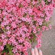 ヒメ日記 2025/04/14 10:01 投稿 なつめ ぷるるん小町 京橋店