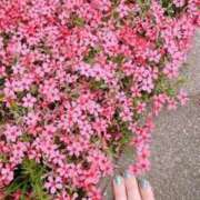 ヒメ日記 2025/04/14 10:07 投稿 なつめ ぷるるん小町 京橋店