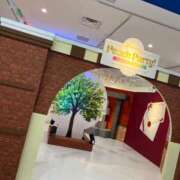 ヒメ日記 2025/05/01 20:32 投稿 なつめ ぷるるん小町 京橋店