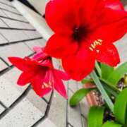 ヒメ日記 2025/05/02 21:06 投稿 なつめ ぷるるん小町 京橋店