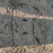 ヒメ日記 2025/05/05 19:09 投稿 なつめ ぷるるん小町 京橋店