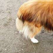 ヒメ日記 2025/05/10 16:44 投稿 なつめ ぷるるん小町 京橋店