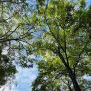 ヒメ日記 2025/05/12 22:26 投稿 なつめ ぷるるん小町 京橋店