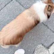 ヒメ日記 2025/07/08 19:15 投稿 なつめ ぷるるん小町 京橋店