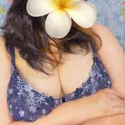 ヒメ日記 2025/11/27 11:07 投稿 なつめ ぷるるん小町 京橋店