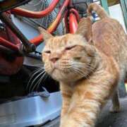 ヒメ日記 2026/02/06 15:02 投稿 なつめ ぷるるん小町 京橋店