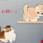 ヒメ日記 2025/06/28 15:33 投稿 ミント・SP アニバーサリー