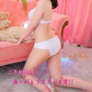 ヒメ日記 2025/08/14 19:47 投稿 ミント・SP アニバーサリー